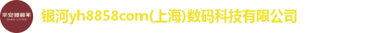 银河yh8858com(上海)数码科技有限公司